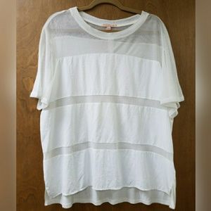 BOGO Gibson & Latimer White Mesh Striped Top